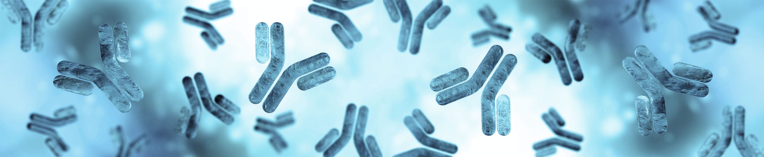 allergy-immunology-specialist